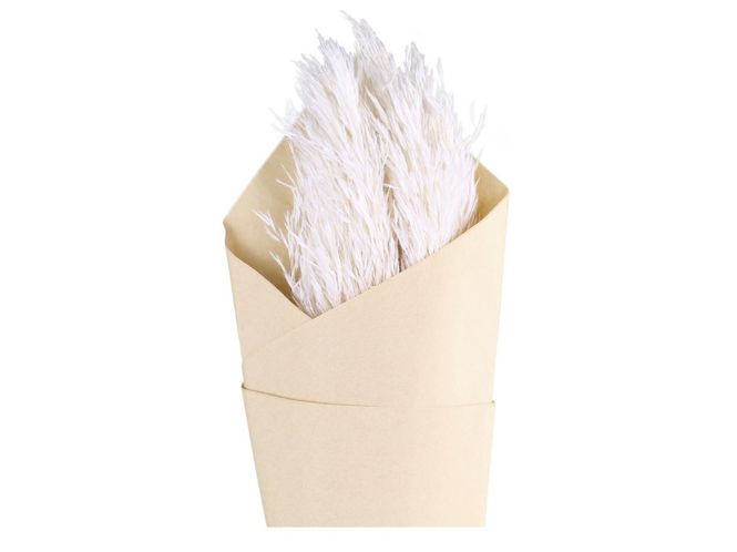 Hovedbilde Tørret pampagress L78 cm